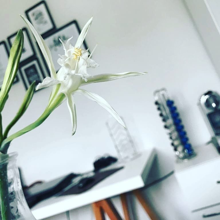 My Desk’s Spring Makeover