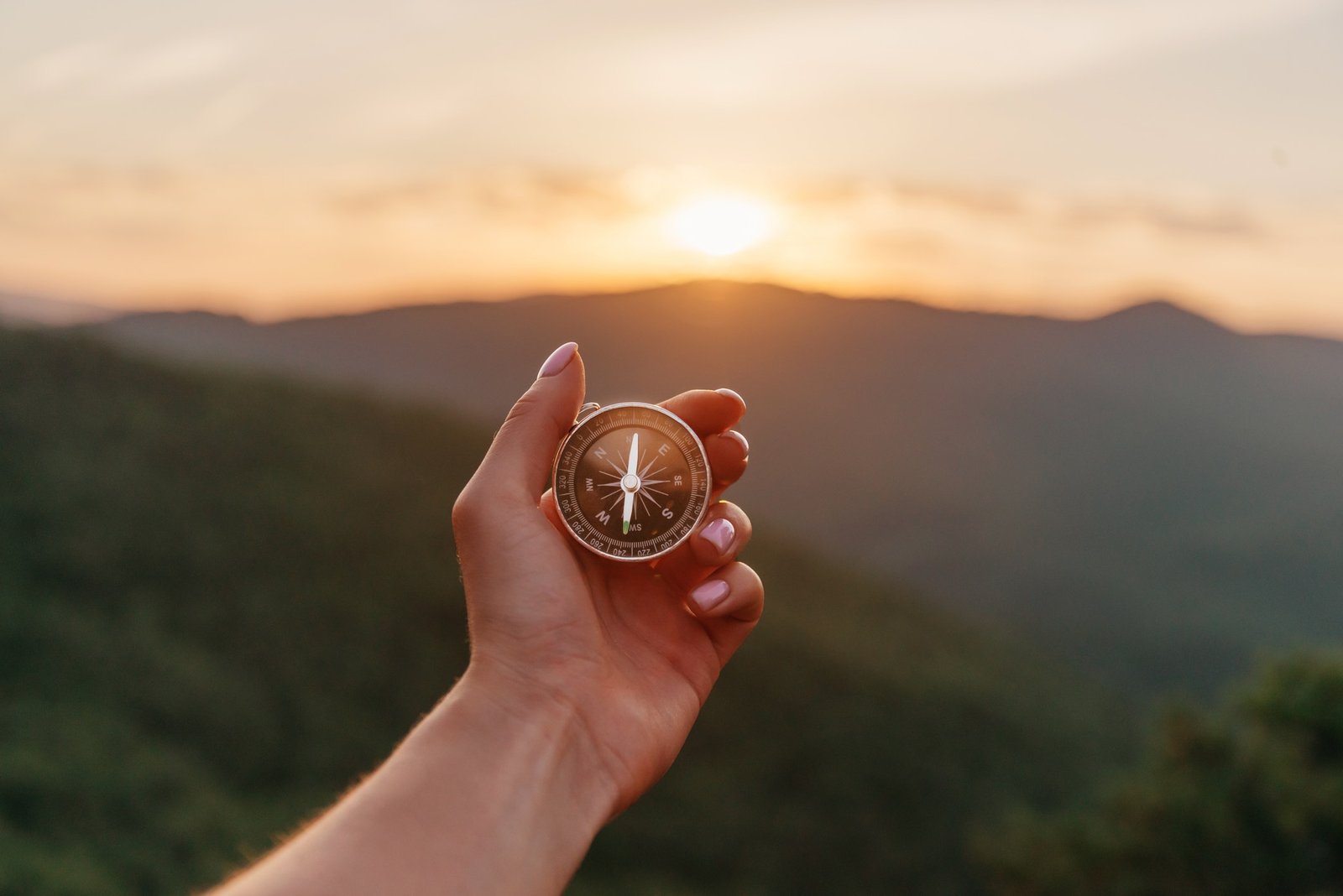 How can I find my purpose in life?